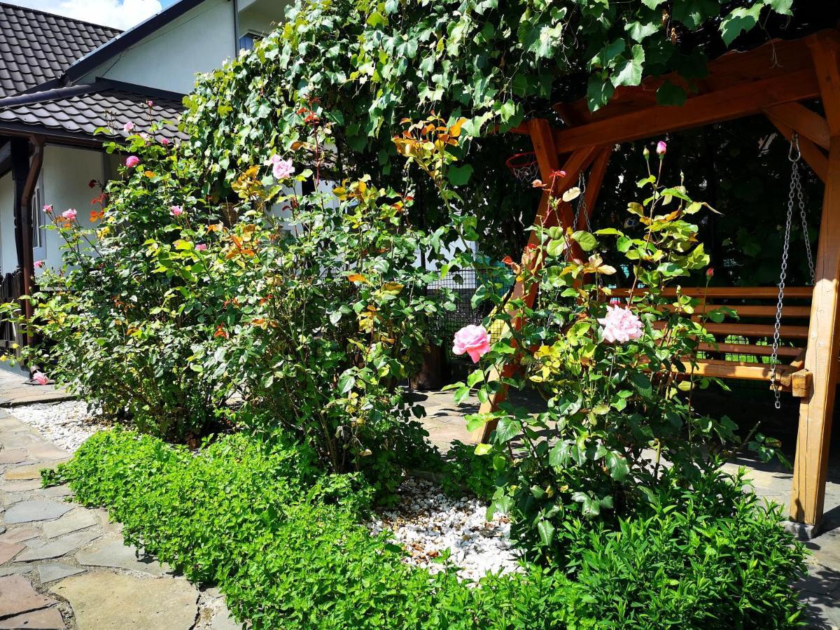 Appartement La Dory à Satu Sugatag Extérieur photo